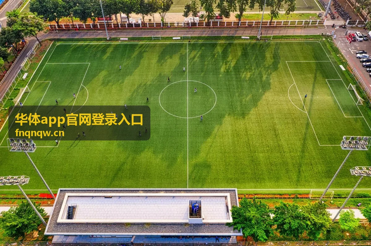 华体app官网登录入口技术统计页面